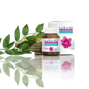 Carbocontrol Plus 3.1